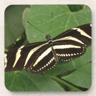 Dessous de verre de liège à papillon zébrée