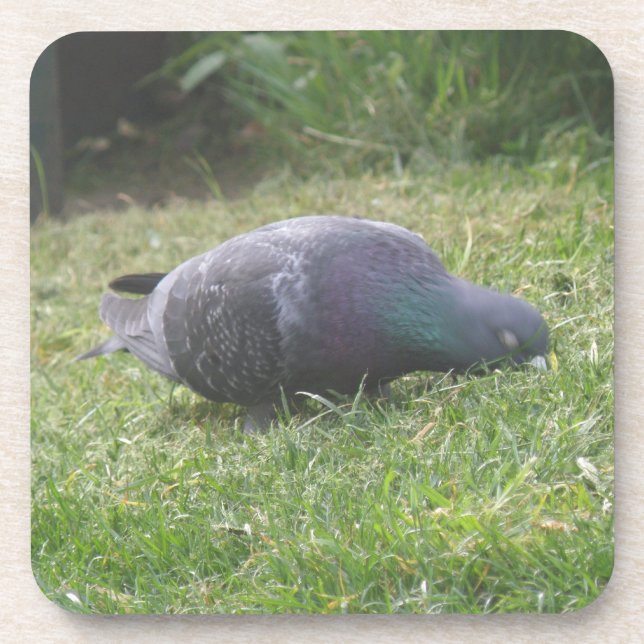 Dessous de verre de liège à pigeon dormant (Devant)