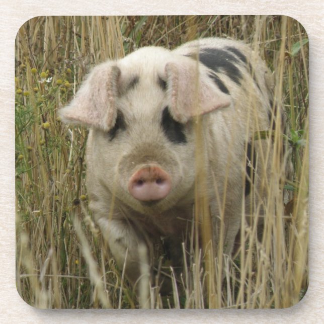 Dessous de verre de liège à porc mignon (Devant)