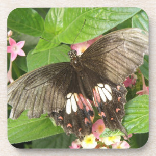 Dessous de verre de liège à queue épaisse carlet