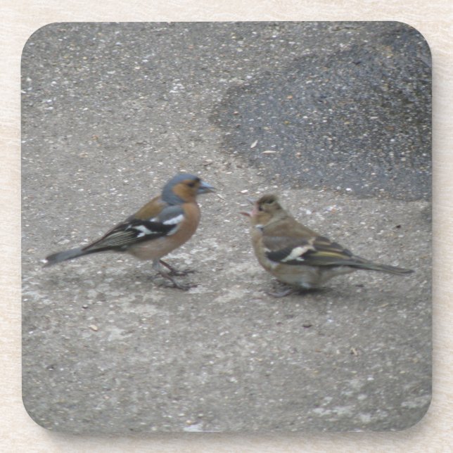 Dessous de verre de liège Chaffinch Feed Me (Devant)