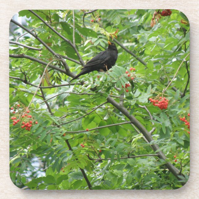 Dessous de verre de liège de Blackbird et Berries (Devant)