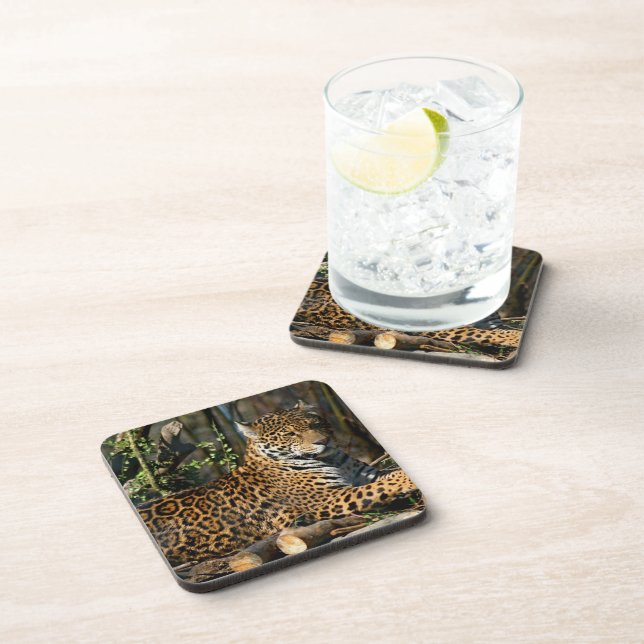 Dessous de verre de liège de Jaguar de Panthera (Côté Droit)