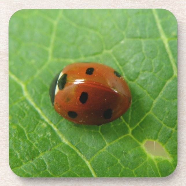 Dessous de verre de liège de Ladybug (Devant)