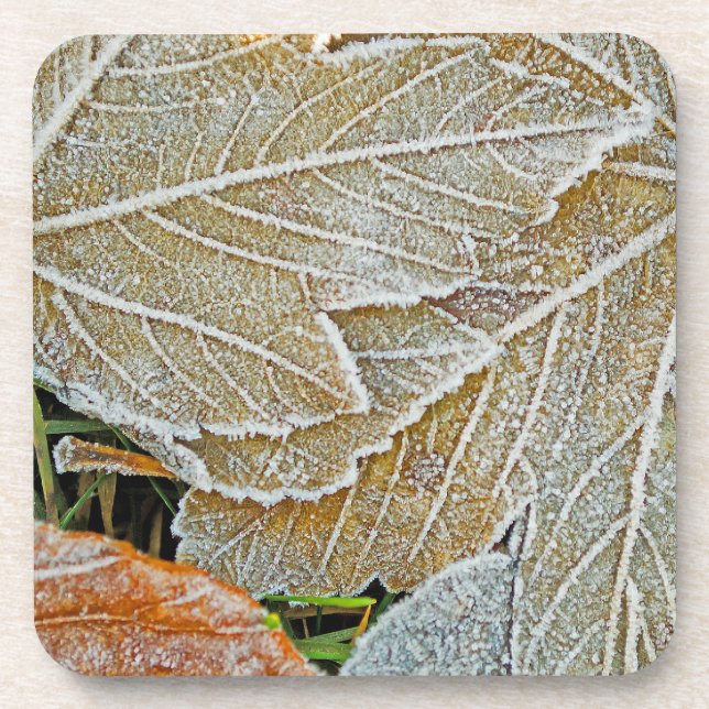Dessous de verre de liège d'érable congelé (Devant)