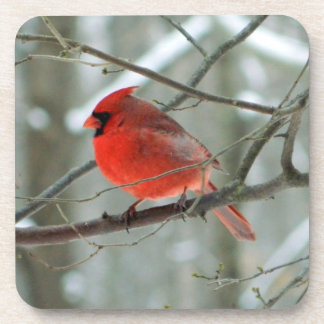 Dessous de verre de liège du cardinal d'hiver