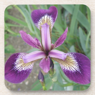 Dessous de verre de liège en iris violet