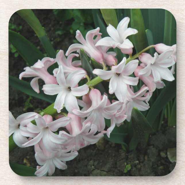 Dessous de verre de liège Hyacinths (Devant)