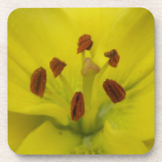 Dessous de verre de liège jaune