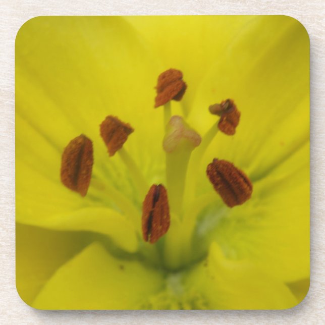 Dessous de verre de liège jaune (Devant)