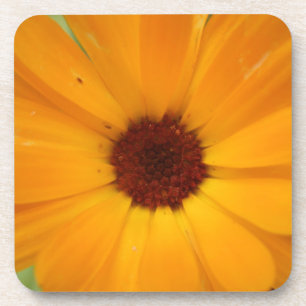 Dessous de verre de liège orange Rain Daisy