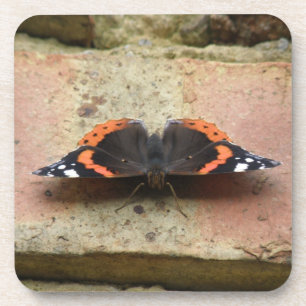 Dessous de verre de liège papillon de l'amiral rou