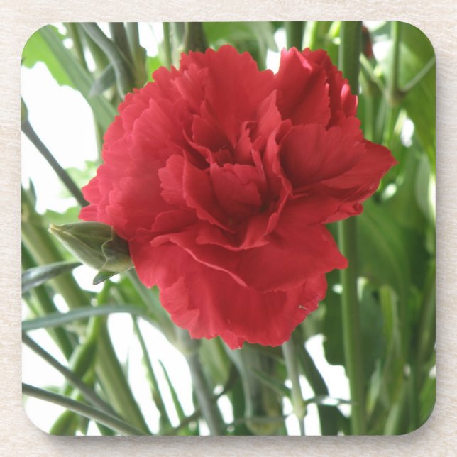 Dessous de verre de liège Red Carnation (Devant)