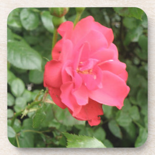 Dessous de verre de liège Rose sauvage