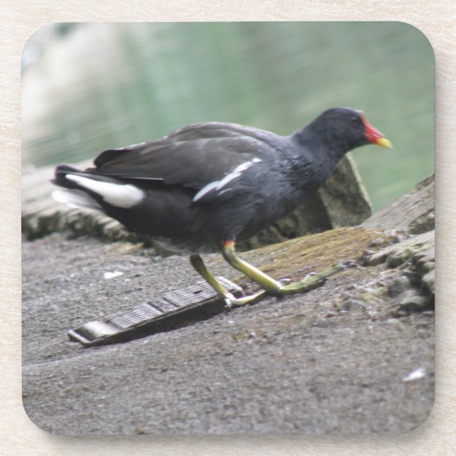 Dessous de verre de Moorhen Cork (Devant)