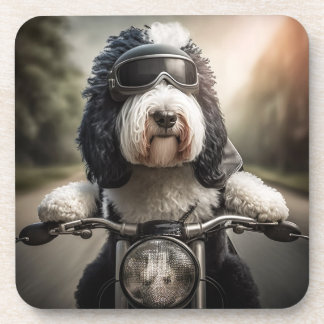 Dessous de verre de motocycliste Sheepadoodle