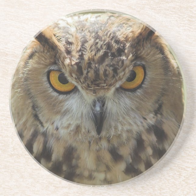 Dessous de verre de photo de hibou (Devant)