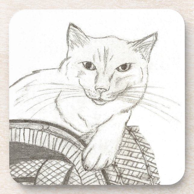 Dessous de verre de Portrait de Ragdoll de chat -  (Devant)