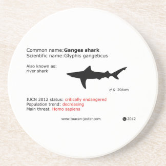 Dessous de verre de requin du Gange