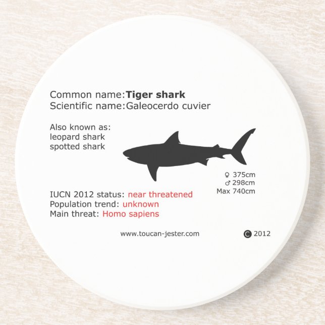 Dessous de verre de requin tigre (Devant)