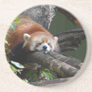 Dessous de verre de sommeil de panda rouge