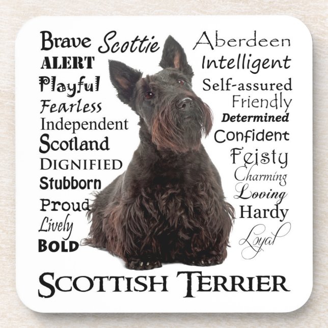 Dessous de verre de traits de Scottie (Devant)