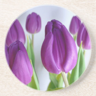 Dessous de verre de tulipe pourpre
