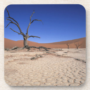 Dessous-de-verre Dead Vlei, Sossusvlei, Parc national de Namib-Nauk