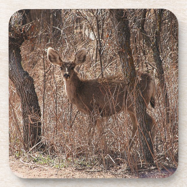 Dessous-de-verre Deer Stare (Devant)