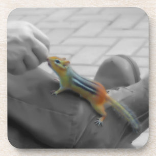 Dessous-de-verre Déjeuner de tamia