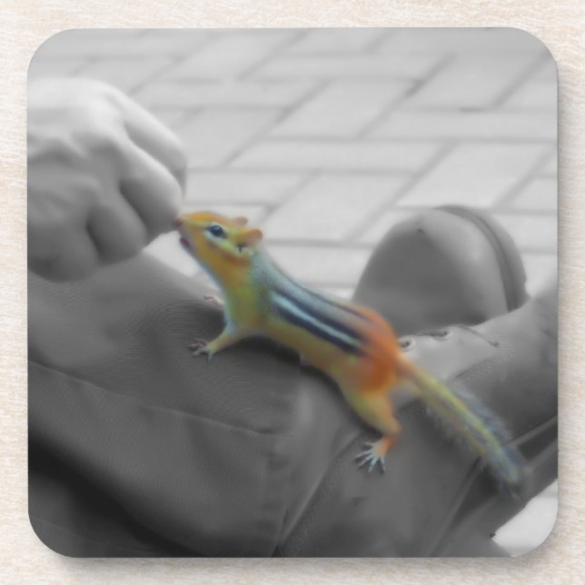 Dessous-de-verre Déjeuner de tamia (Devant)