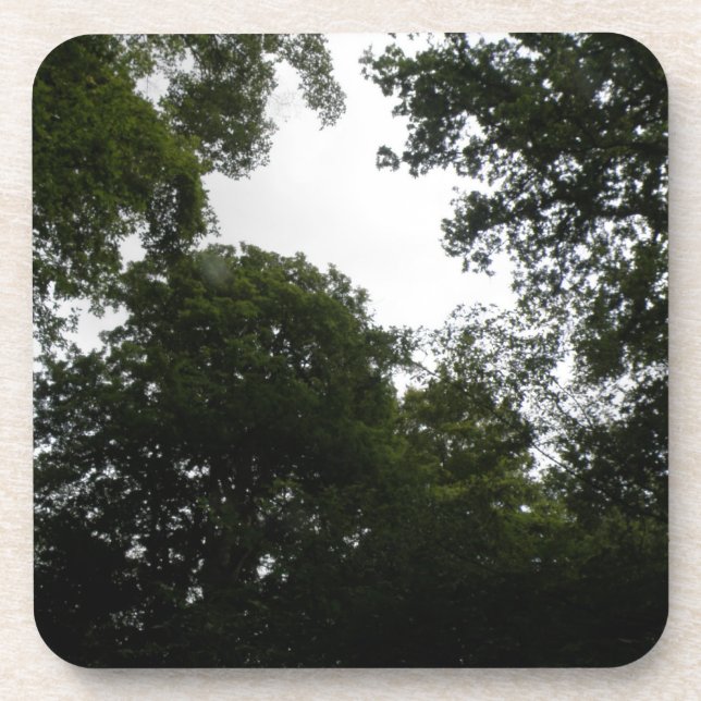 Dessous de verre déplaisant de liège forestier (Devant)