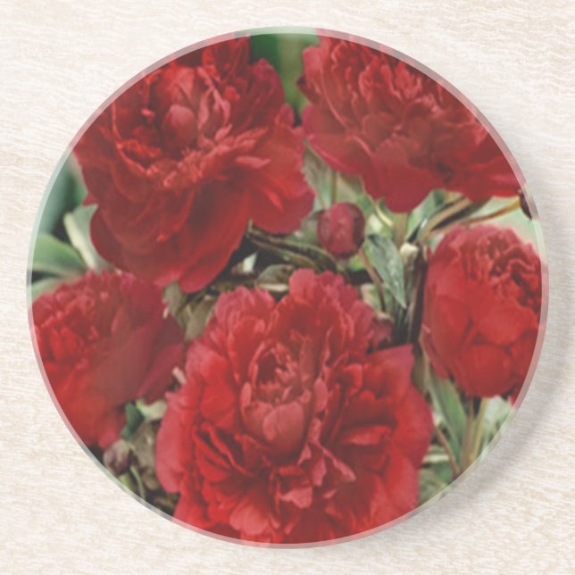 Dessous de verre des fleurs de carnation rouge (Devant)