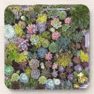 Dessous-de-verre Design de jardin réussi