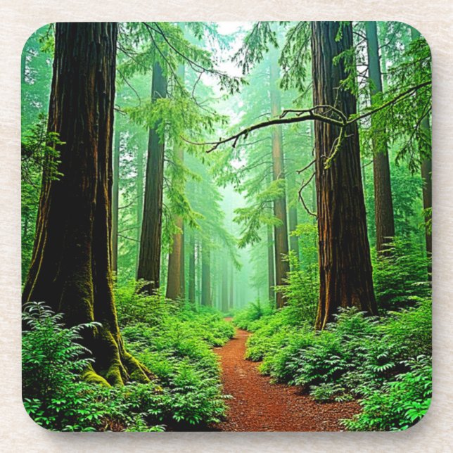 Dessous-de-verre Design de tranquillité de la forêt de Redwood (Devant)