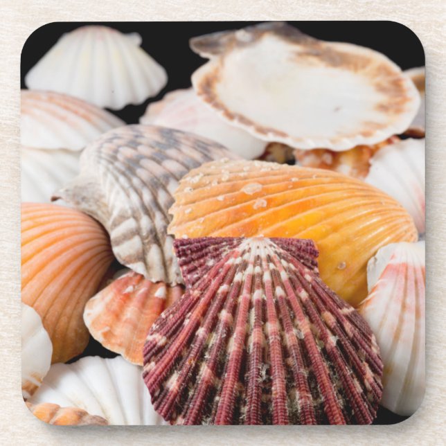 Dessous-de-verre Détail Des Coquillages Du Monde Entier 2 (Devant)