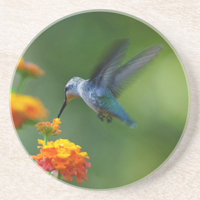 Dessous de verre d'été Hummer (Devant)