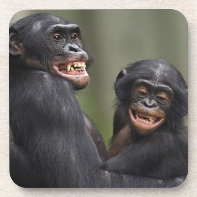 Dessous-de-verre Deux bonobos de sourire (Devant)