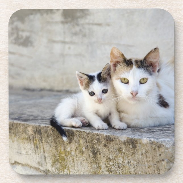 Dessous-de-verre Deux chats sur les étapes en pierre (Devant)
