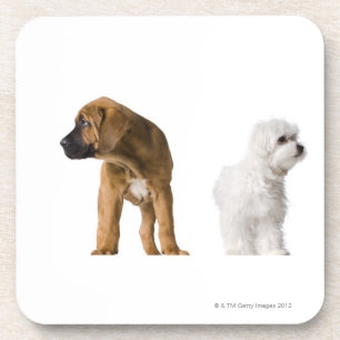 Dessous-de-verre Deux chiens