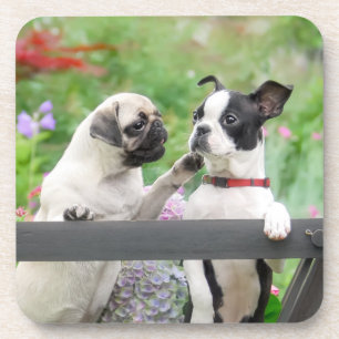 Dessous-de-verre Deux chiens par chiot carlin et Boston Terrier dan