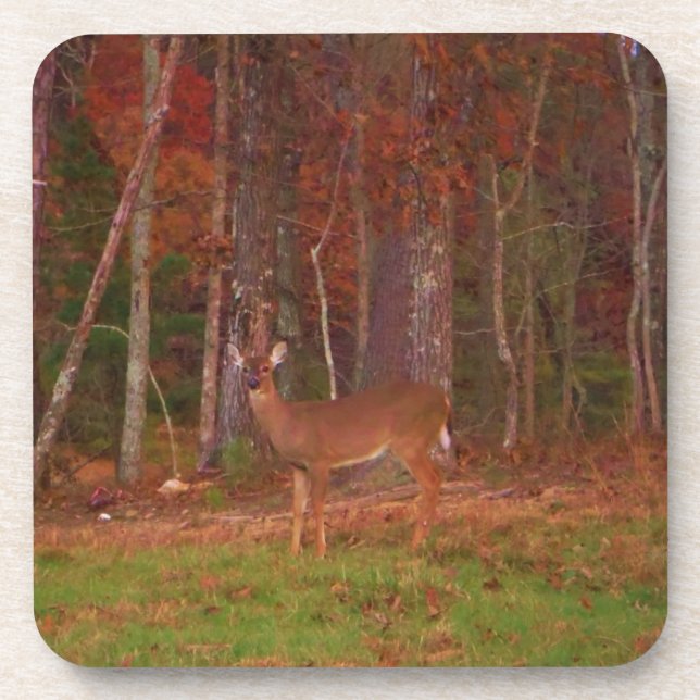 Dessous-de-verre Doe a Deer in Lake Arrowhead (Devant)