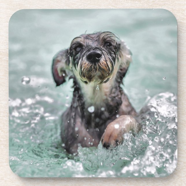Dessous-de-verre Doggy Paddle mignon chien nager (Devant)