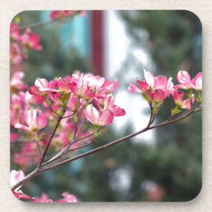 Dessous-de-verre Dogwood rose