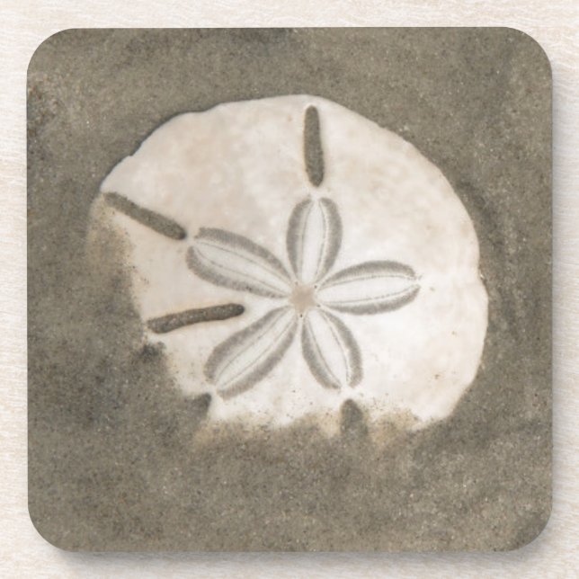Dessous-de-verre Dollar de sable (Echinarachnius parma) (Devant)