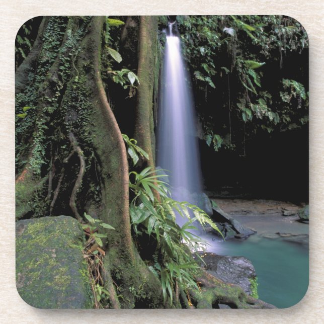 Dessous-de-verre Dominique, Emerald Pool, Cascade. (Devant)