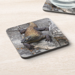 Dessous-de-verre Dragon de Komodo sur des pierres rugueuses