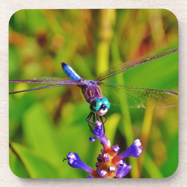 Dessous-de-verre Dragonfly (Devant)