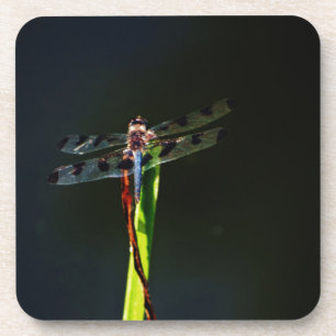 Dessous-de-verre Dragonfly bleu et noir sur gazon vert et rouge