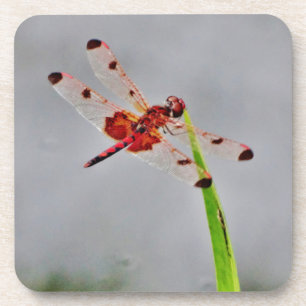 DESSOUS-DE-VERRE DSC00029.JPG